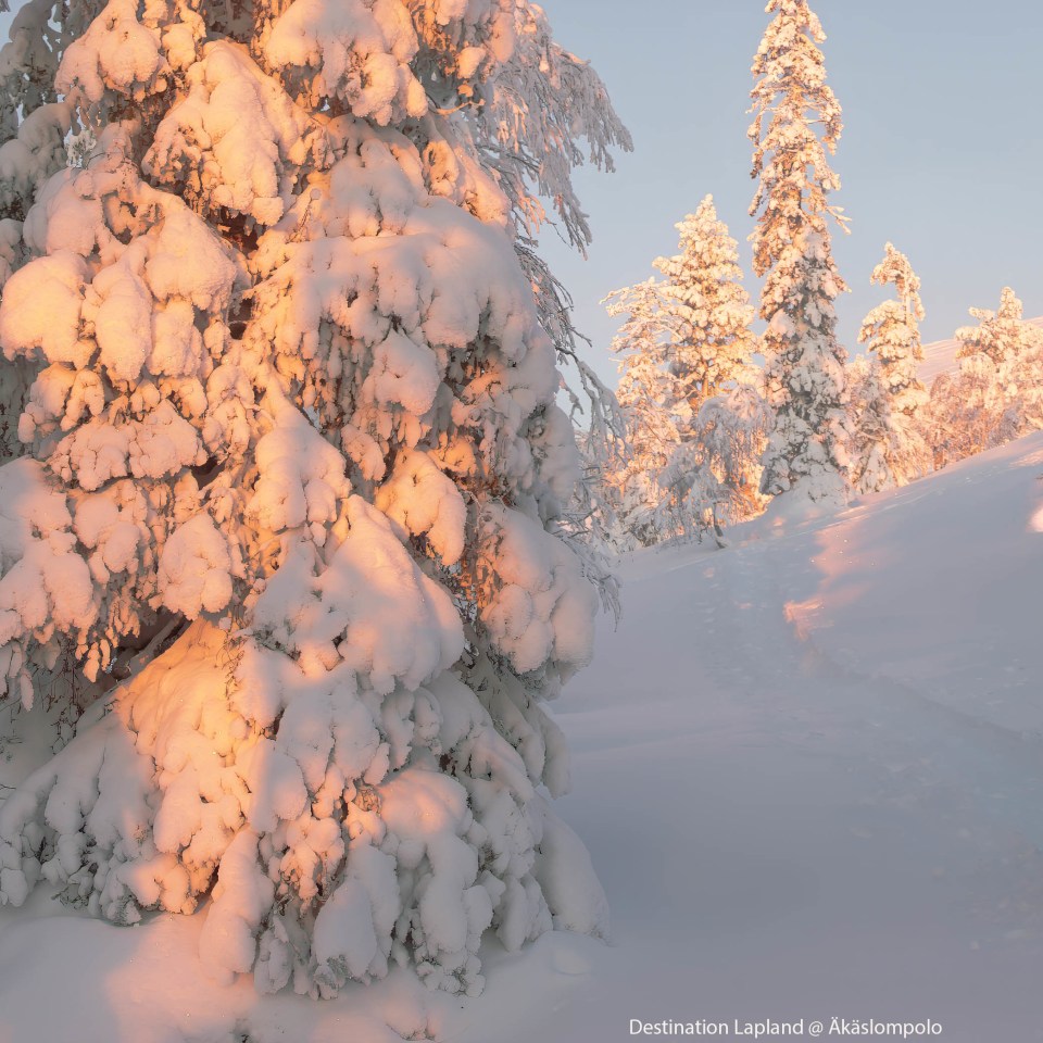 Schneeschuhwanderung